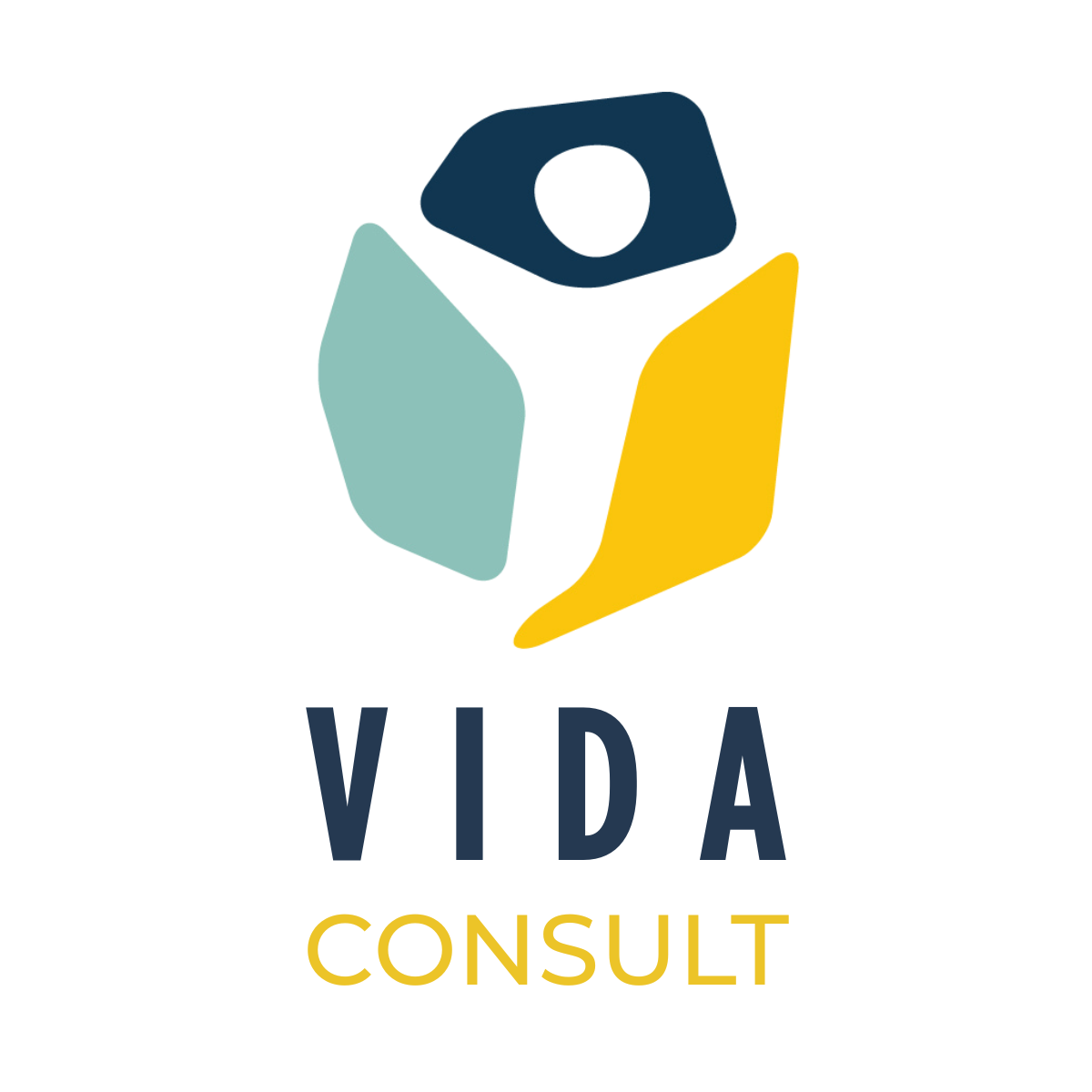 VIDA Consult