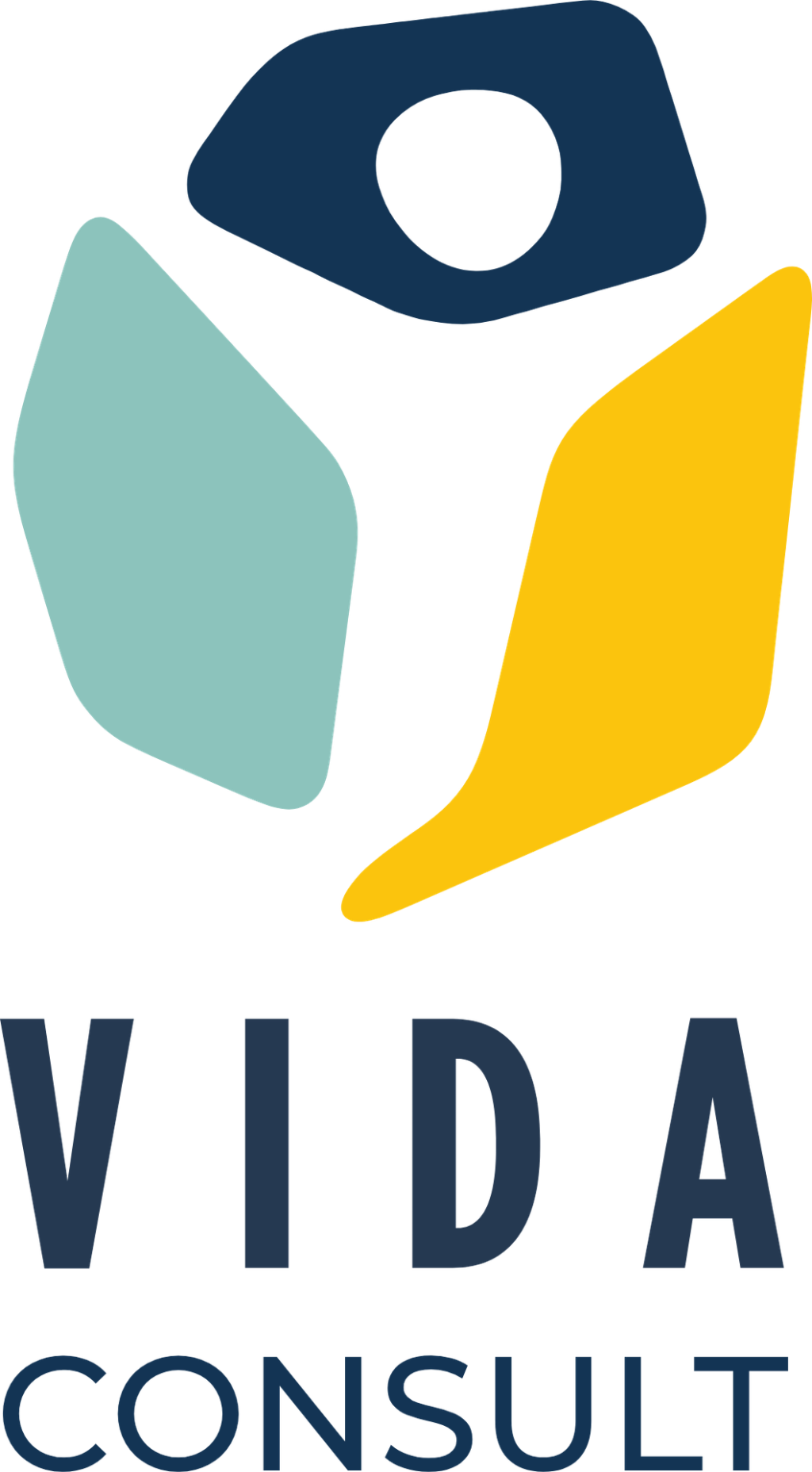 VIDA Consult